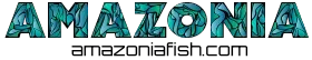 Amazonia Tropical Fish LLC