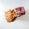 PREMIUM DAILY FOOD Red Booster Flakes
